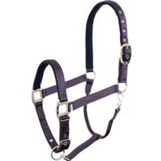 Violet Licols pour chevaux Licol pour cheval BR Equitation Event Violet