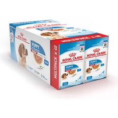 Royal Canin medium breed wet puppy food multipack