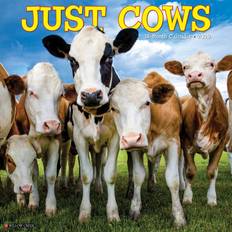 Willow Creek Press Just Cows 2025 Wall Calendar