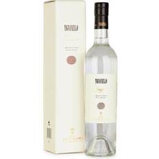 Marchesi Antinori Antinori Tignanello Grappa