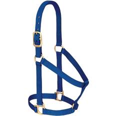 Nylon Horse Halters Weaver Basic Nylon Halter Blue