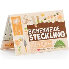 Topfpflanzen Steckling Saatgut Bienenweide