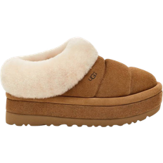 UGG Tazz Braid - Hardwood (4 stores) see prices now »