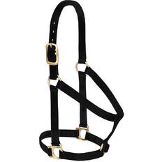Halters & Lead Ropes Weaver Weaver Leather Basic Non-Adjustable Nylon Horse Halter, Black, 1" Horse