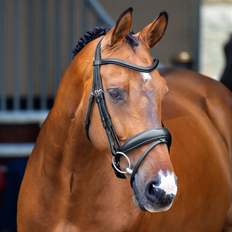 Bridles Shires Black, Full Lusso Dressage Flash Bridle