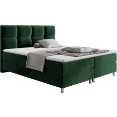 160 cm Sengepakker MIRJAN24 Boxspringbett Dave, Stilvoll Fresh Betten-Sets