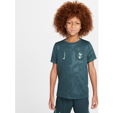 Nike Tottenham Hotspur Academy Pro Third Top 2024 2025