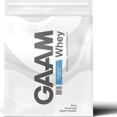 GAAM Proteinpulver GAAM Whey Protein Blueberry Vanilla 900g