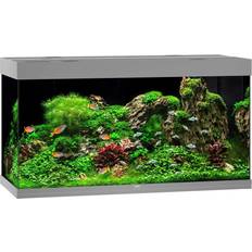 Juwel Rio 350L LED Aquarium