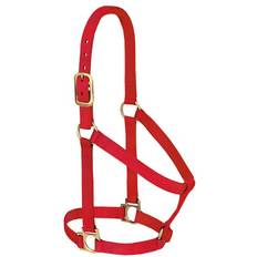 Halters & Lead Ropes Weaver Weaver Basic Nylon Halter Red