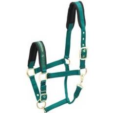 Equitazione Cavezza in nylon per cavalli Kieffer Collection Vert