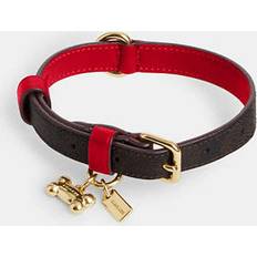 Coach Outlet Boxed Small Pet Collar In Signature Canvas