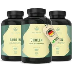 Nahrungsergänzung True Nature Cholin 3-pack 1080 Stk.