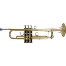 Bach Apollo 17043GYR Trumpet Clear Lacquer