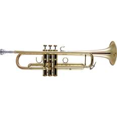 Bach PlayMusic123, 170 Stradivarius 43 Bell Series Professional Bb Trumpet Lacquer Yellow Brass Bell