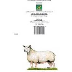 White Cards & Invitations Kevin Milner Countryside Charolais Ewe Card White/green