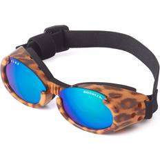 Doggles Hundglasögon ILS Leopard Blue Lens
