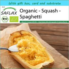 September Vegetable Seeds Saflax Gift Set Organic