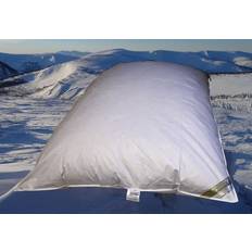 80cm Beds Winter Oberbett Daunen-Federbett Schüttelbett 2600g