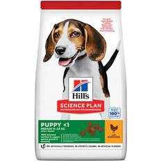 Hill's science plan medium breed puppy dry dog chicken