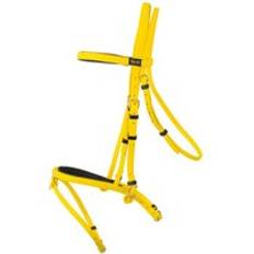 Equitazione Briglie da equitazione T de T Biotack Jaune