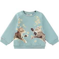 Molo Disc Sweatshirt - Kitten Star Dusty (4W24J201-3755)