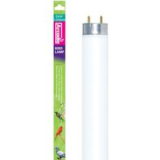 Arcadia Arcadia Bird T8 2.4% UVB Lysrör - 36 W - 120 cm