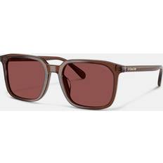 Solglasögon Coach Sunglasses Transparent Mahogany -
