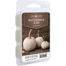 Wax Melt on sale Pumpkin Oak Scented 2.5 Oz - Brown Wax Melt