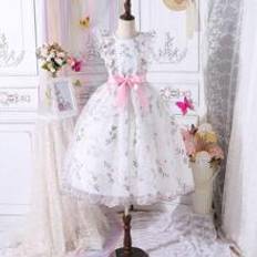 Ruffles Dresses Shein Tween Girls' Princess Dress With Delicate Embroidery & Light Formal Dress, Elegant Tween Girl Party Dress