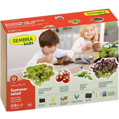 Sembra Kids Summer Salad