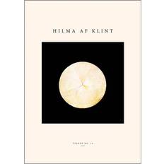 Poster & Frame Hilma af Klint Juliste 50x70 cm