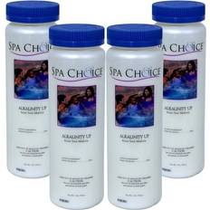 Cheap PH Balance Splash Super Center, Spa Choice Alkalinity Up 4 Lbs