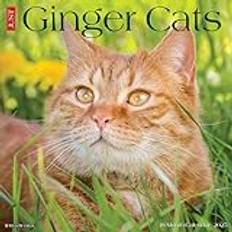 FSC (The Forest Stewardship Council) Calendars Willow Creek Press Ginger Cats 2025 Wall Calendar 12 x 12 in