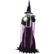 Black Party Supplies Haunted Hill Farm Party Decorations Alma the Fortune Teller Witch