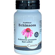 Echinacea - 90