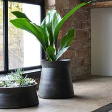 Pots, Plants & Cultivation Kew Handthrown Plant Pot Bronze