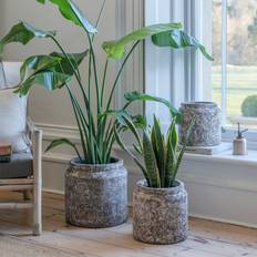 Pots Ivyline Kew Volcanic Texured Plant Pot Grey