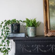 Ceramics Pots & Planters Ivyline Kew Reactive Glaze Plant Pot Sage Green ∅18cm
