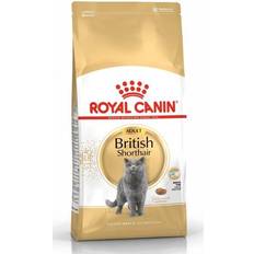 Royal Canin Adult British Shorthair Dry Cat Food 4kg Bag