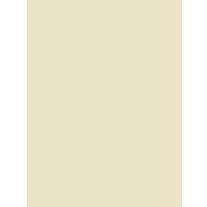 Paint Little Greene The Little Paint Intelligent Eggshell - Light Stone Neutrals Green
