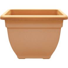 Square Planter