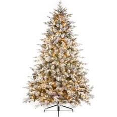 National Tree Company 2m Pre-lit Snowy Dorchester Pine Christmas Tree