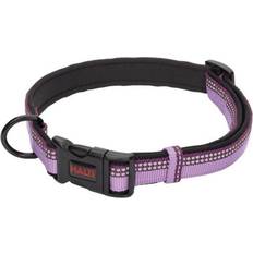 B&Q Halti Comfort Dog Collar Purple 25 cm x 35 cm - One Size