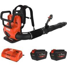 Echo backpack blower 795 cfm cordless w/tube throttle battery, dual port charger