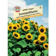 Oktober Blumensamen Sperli Sonnenblume Sperli's Gigant - Gelb