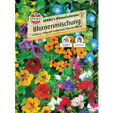 Beste Pflanzen Sperli Blumenmischung Himmelsstürmer - Grün