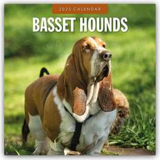 Rot Kalender Basset Hounds - Basset Hound 2025 - 16-Monatskalender