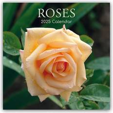 Roze Kalenders Rozen Roses Kalender 2025