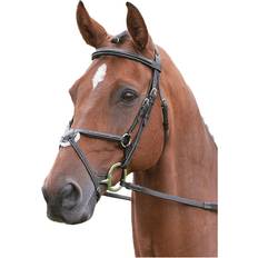 Equestrian Cob, Black Salisbury Brackley Leather Horse Bridle